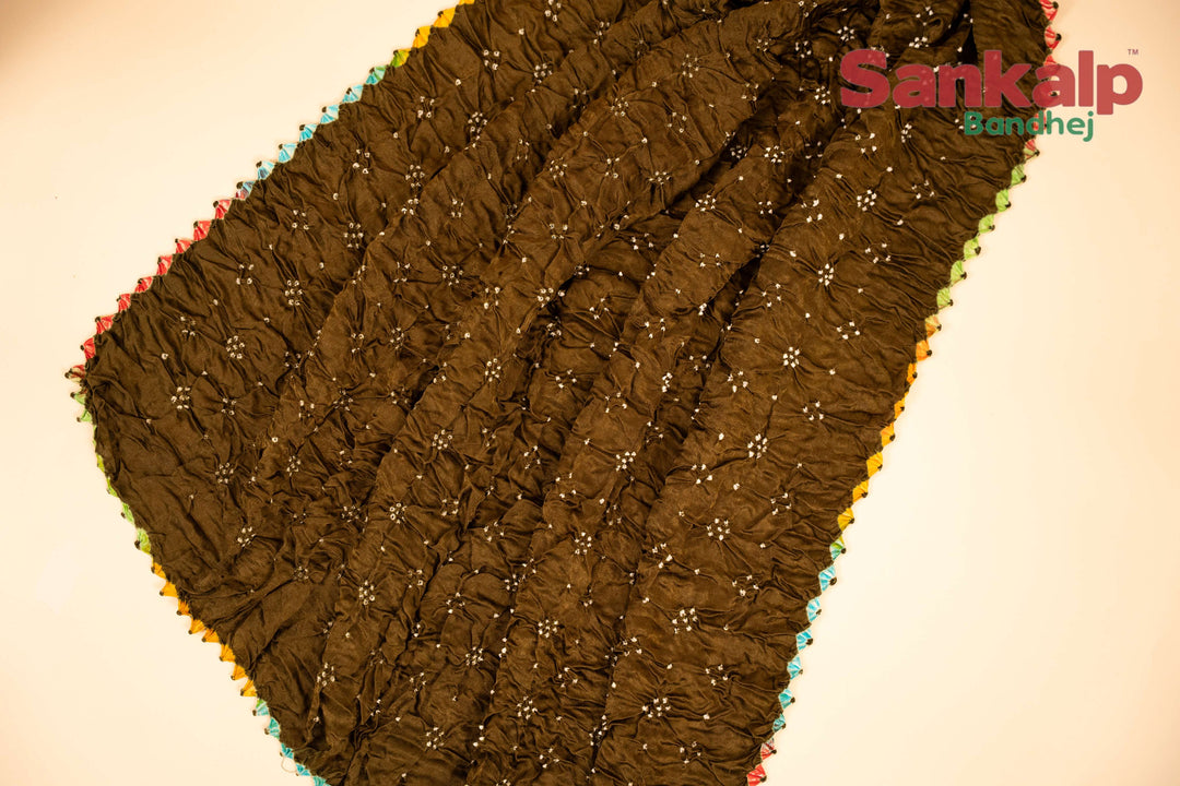 Brown Pure Gajji Silk Bharti Bandhej Saree