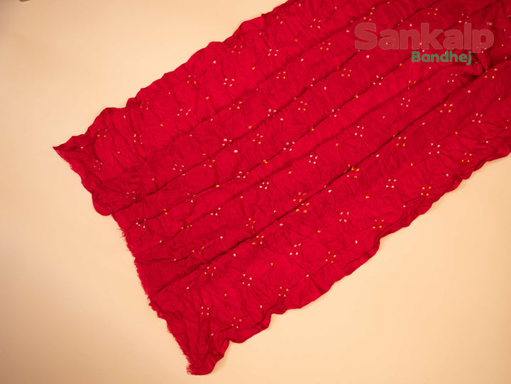 Red Gajji Silk Bandhej Saree With Lagdi Patta Pallav